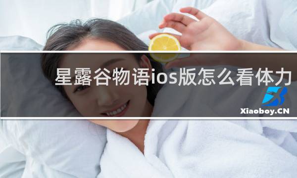 星露谷物语ios版怎么看体力