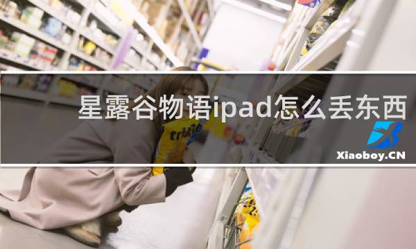 星露谷物语ipad怎么丢东西