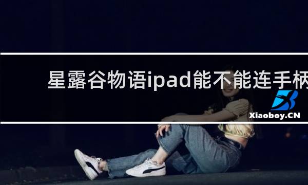 星露谷物语ipad能不能连手柄