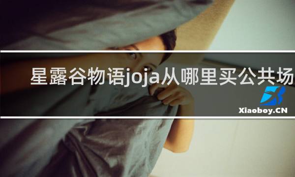 星露谷物语joja从哪里买公共场所