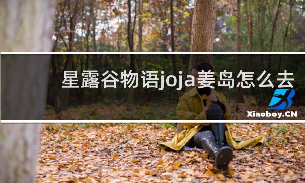 星露谷物语joja姜岛怎么去