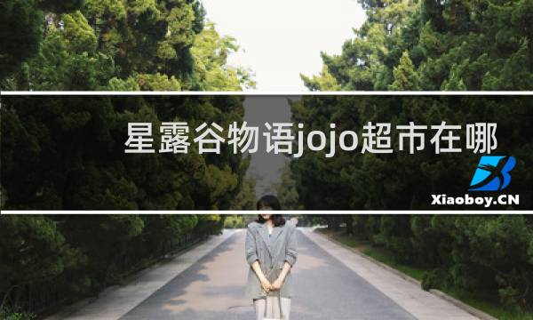 星露谷物语jojo超市在哪