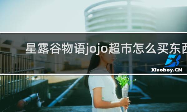 星露谷物语jojo超市怎么买东西
