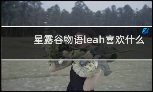 星露谷物语leah喜欢什么