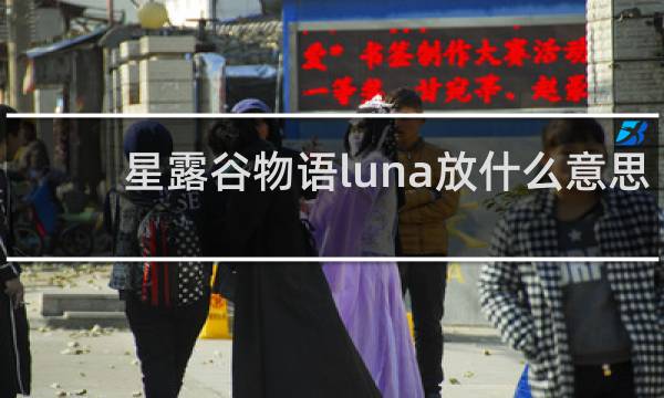 星露谷物语luna放什么意思