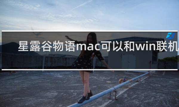 星露谷物语mac可以和win联机吗