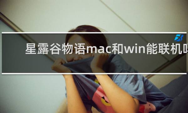 星露谷物语mac和win能联机吗