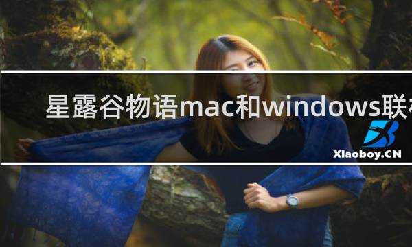 星露谷物语mac和windows联机