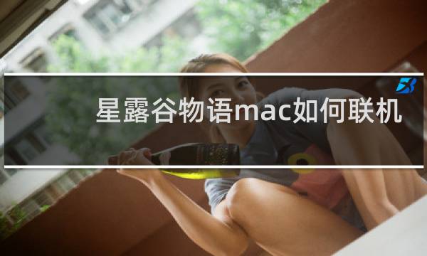 星露谷物语mac如何联机