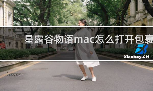 星露谷物语mac怎么打开包裹