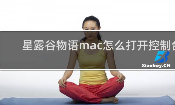 星露谷物语mac怎么打开控制台