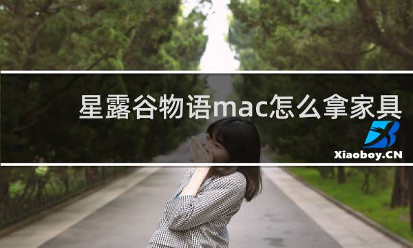 星露谷物语mac怎么拿家具