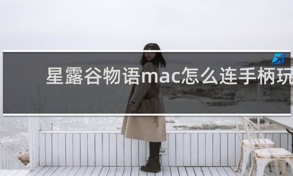星露谷物语mac怎么连手柄玩