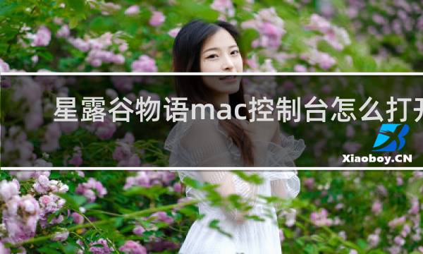 星露谷物语mac控制台怎么打开