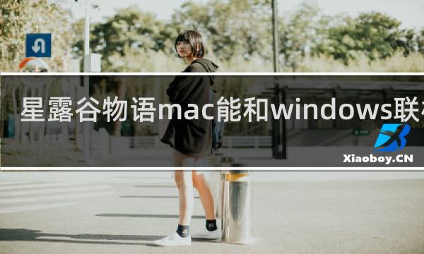 星露谷物语mac能和windows联机么