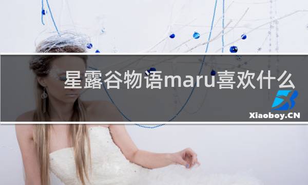 星露谷物语maru喜欢什么