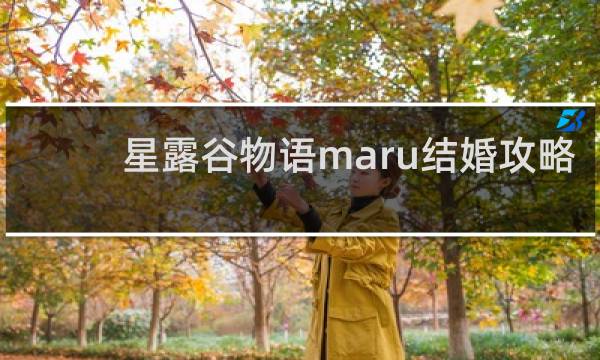 星露谷物语maru结婚攻略