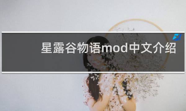 星露谷物语mod中文介绍