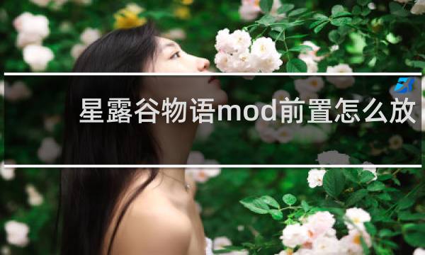 星露谷物语mod前置怎么放