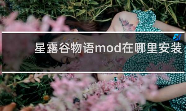 星露谷物语mod在哪里安装