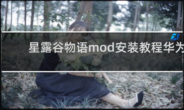 星露谷物语mod安装教程华为