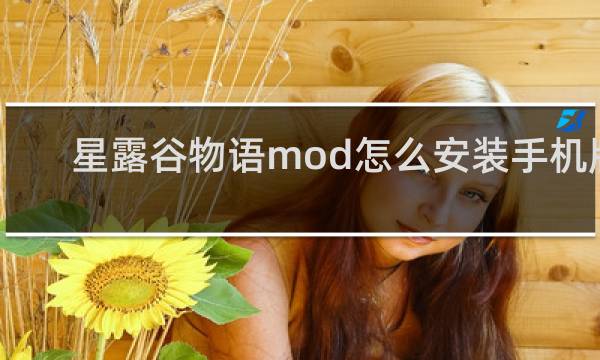 星露谷物语mod怎么安装手机版