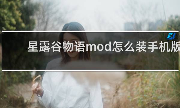 星露谷物语mod怎么装手机版