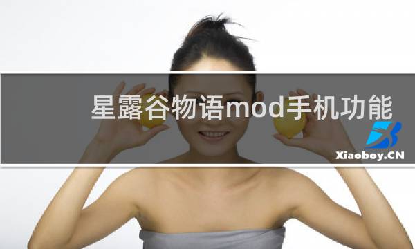 星露谷物语mod手机功能