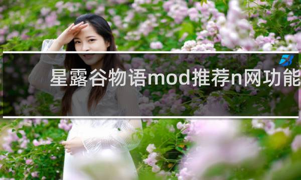 星露谷物语mod推荐n网功能