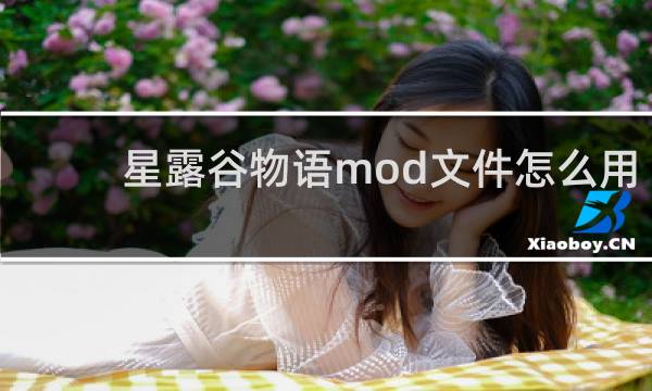 星露谷物语mod文件怎么用