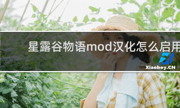 星露谷物语mod汉化怎么启用