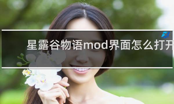 星露谷物语mod界面怎么打开