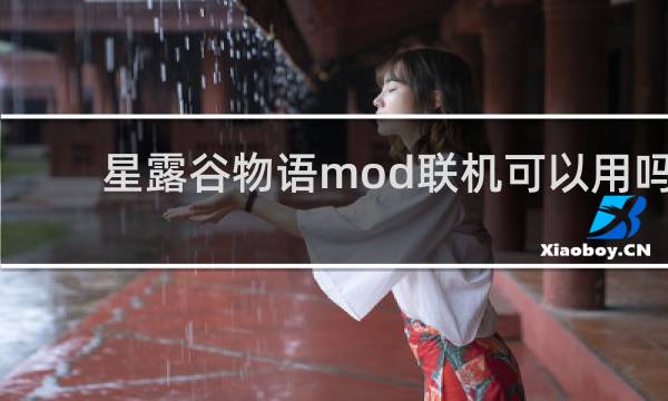 星露谷物语mod联机可以用吗