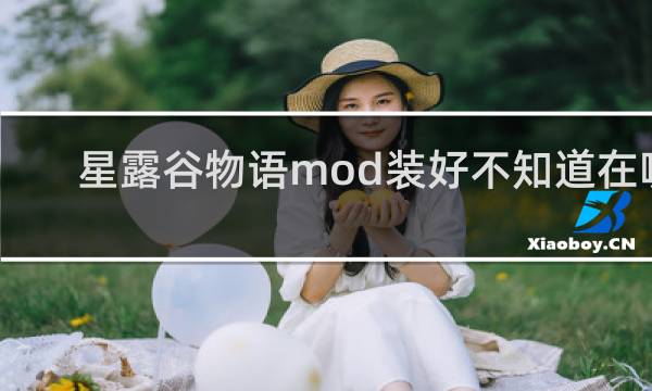 星露谷物语mod装好不知道在哪