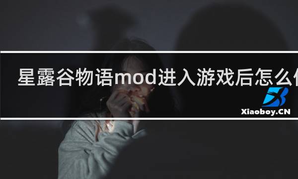 星露谷物语mod进入游戏后怎么使用