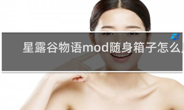 星露谷物语mod随身箱子怎么用