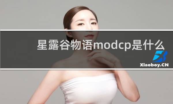 星露谷物语modcp是什么