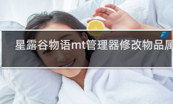 星露谷物语mt管理器修改物品属性