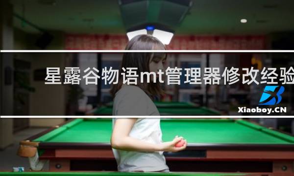 星露谷物语mt管理器修改经验