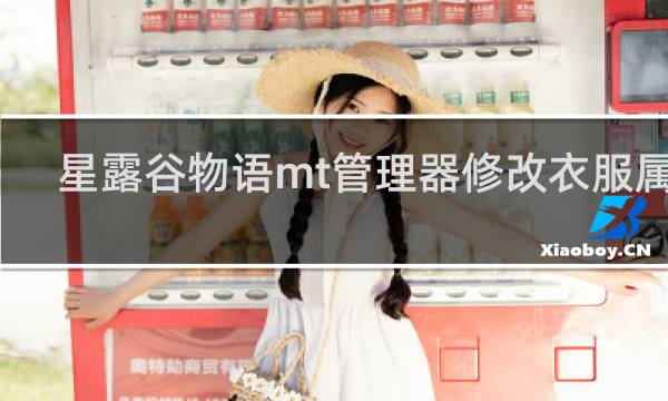 星露谷物语mt管理器修改衣服属性