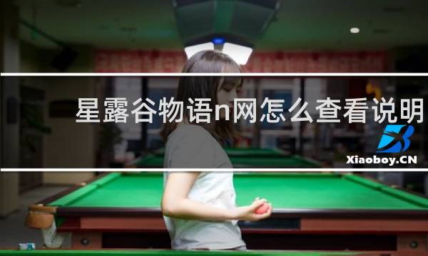 星露谷物语n网怎么查看说明