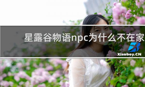 星露谷物语npc为什么不在家