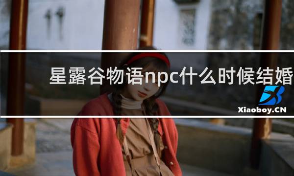 星露谷物语npc什么时候结婚