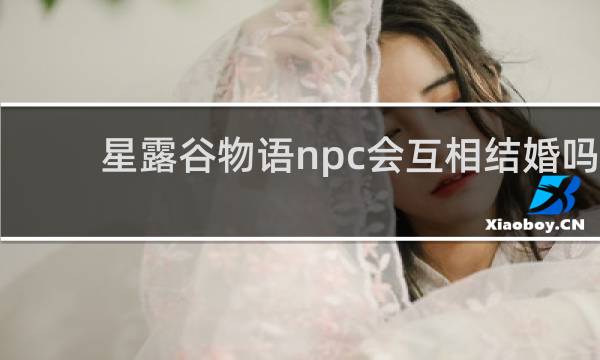 星露谷物语npc会互相结婚吗