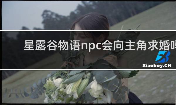 星露谷物语npc会向主角求婚吗