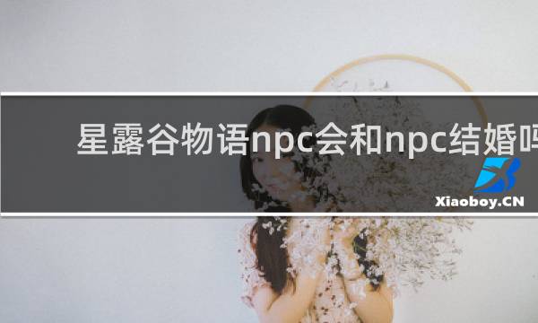 星露谷物语npc会和npc结婚吗
