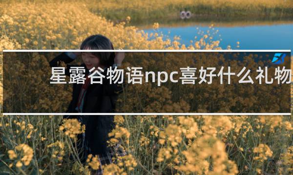 星露谷物语npc喜好什么礼物