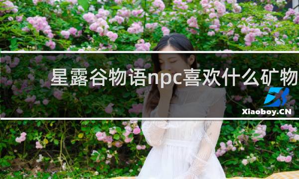星露谷物语npc喜欢什么矿物