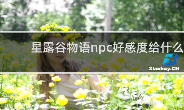 星露谷物语npc好感度给什么