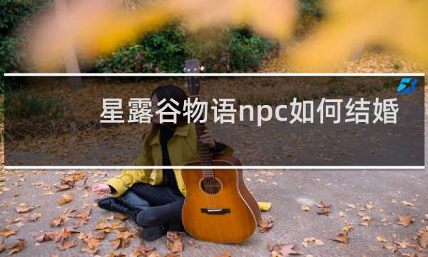 星露谷物语npc如何结婚